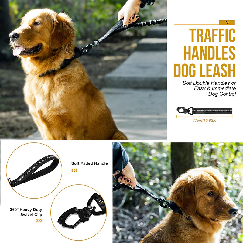 Dog leash 22