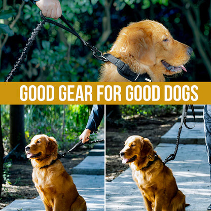 Dog leash 22