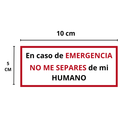 Parches Perro servicio
