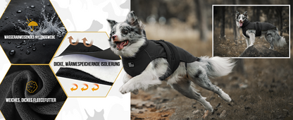 STORMWALL DOG WINTER COAT