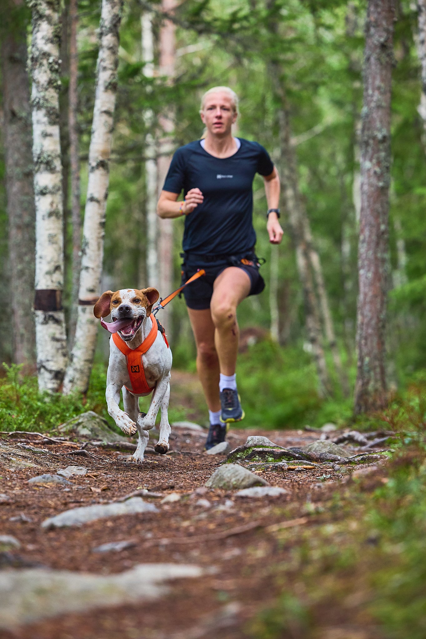 Freemotion harness 5.0