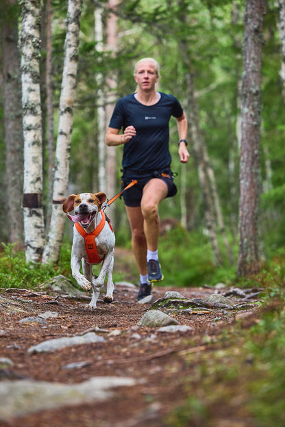 Freemotion harness 5.0