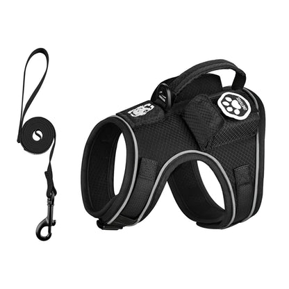 CATATRIX CAT HARNESS