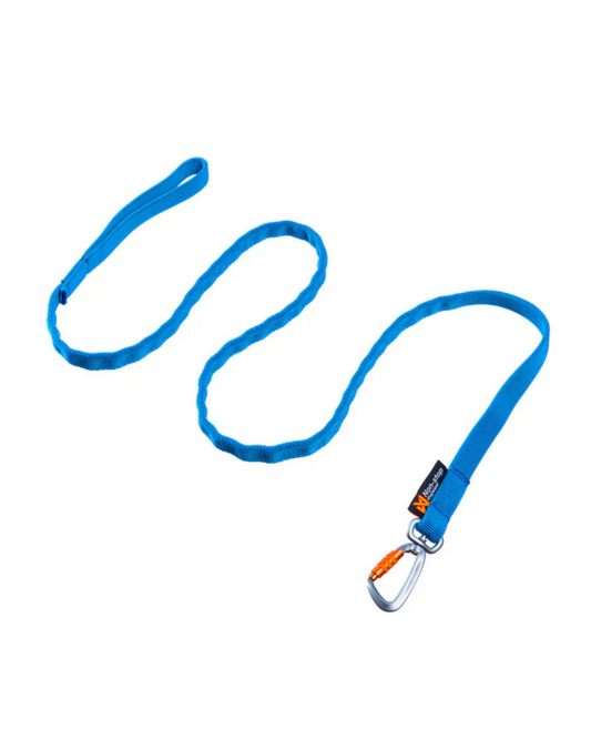 Bungee leash