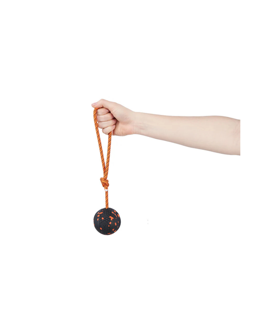 Dog ball on rope