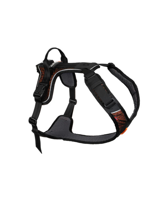 Rock harness