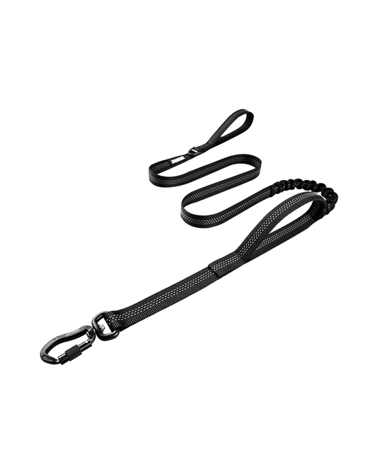 Carabiner Dog Leash 29