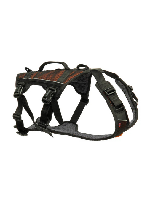 Rock harness long