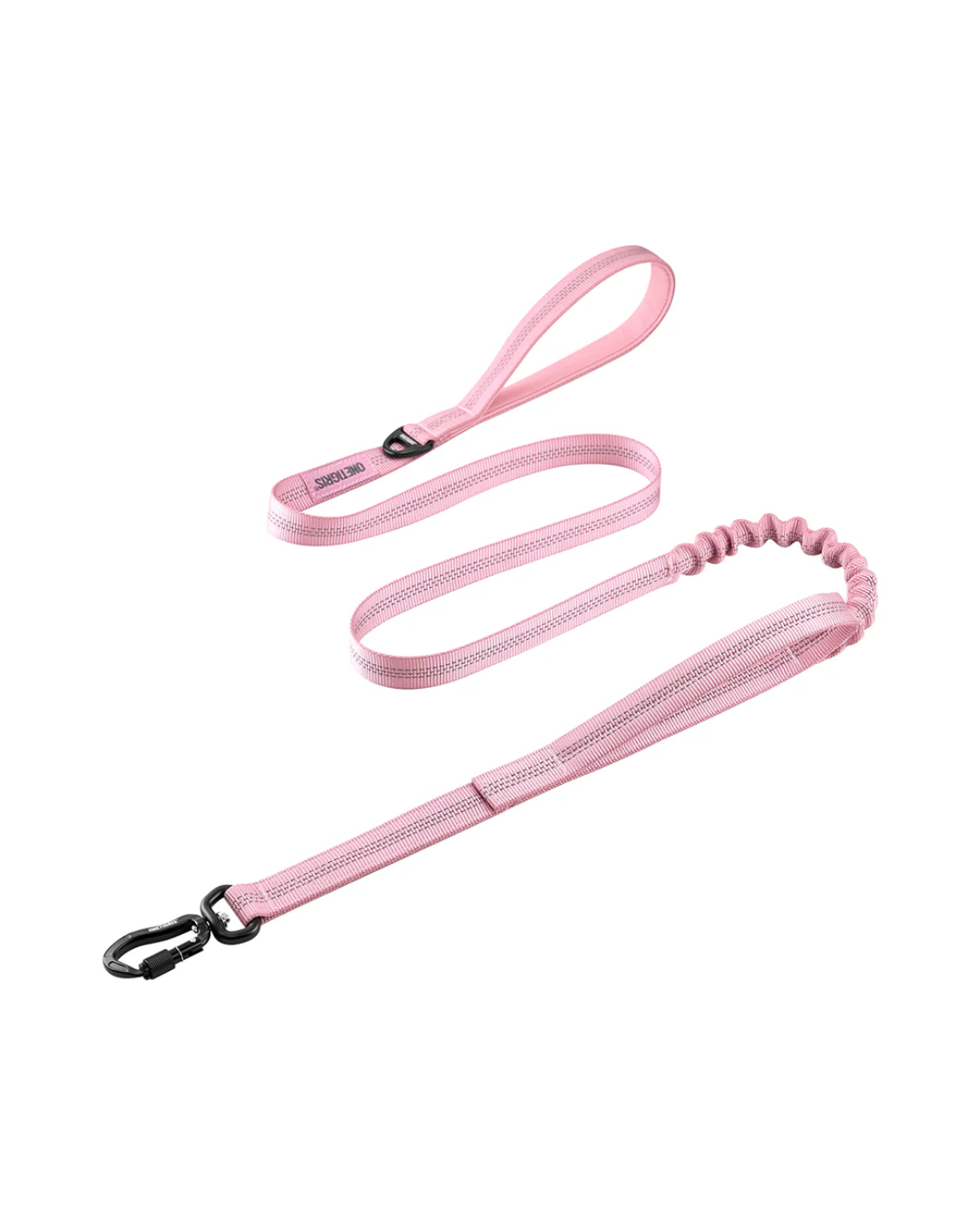 Carabiner Dog Leash 29