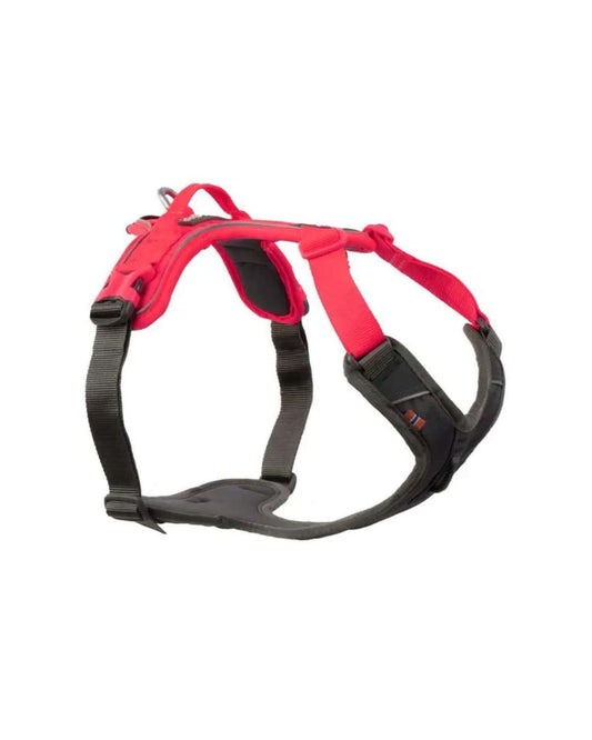 Ramble harness