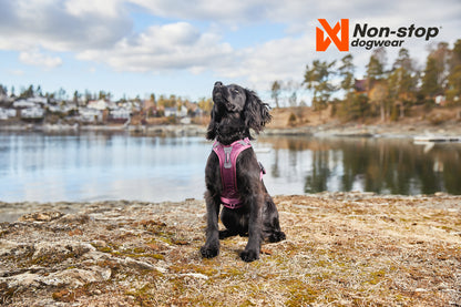 Ramble harness