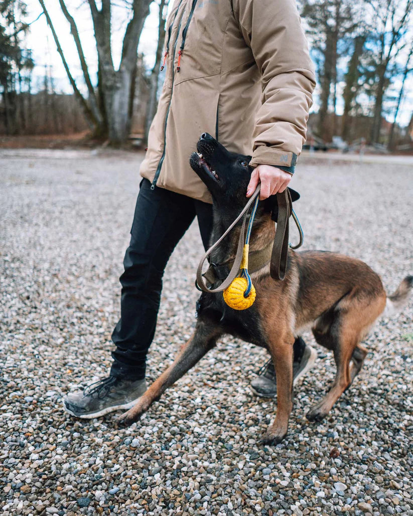 Solid leash WD