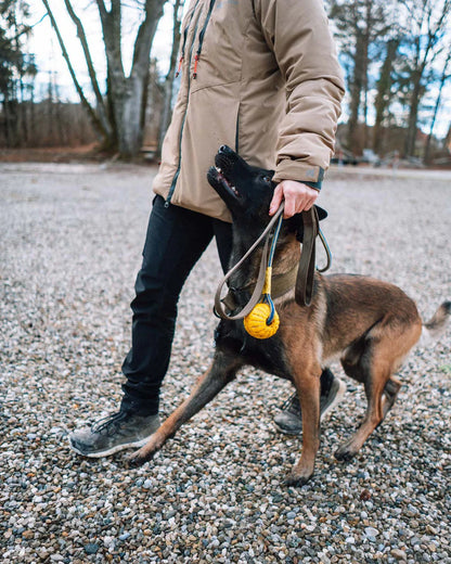 Solid leash WD