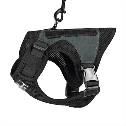 Claw enforcement Tactical Cat Harness